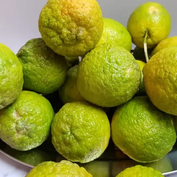rough skin lemon green
