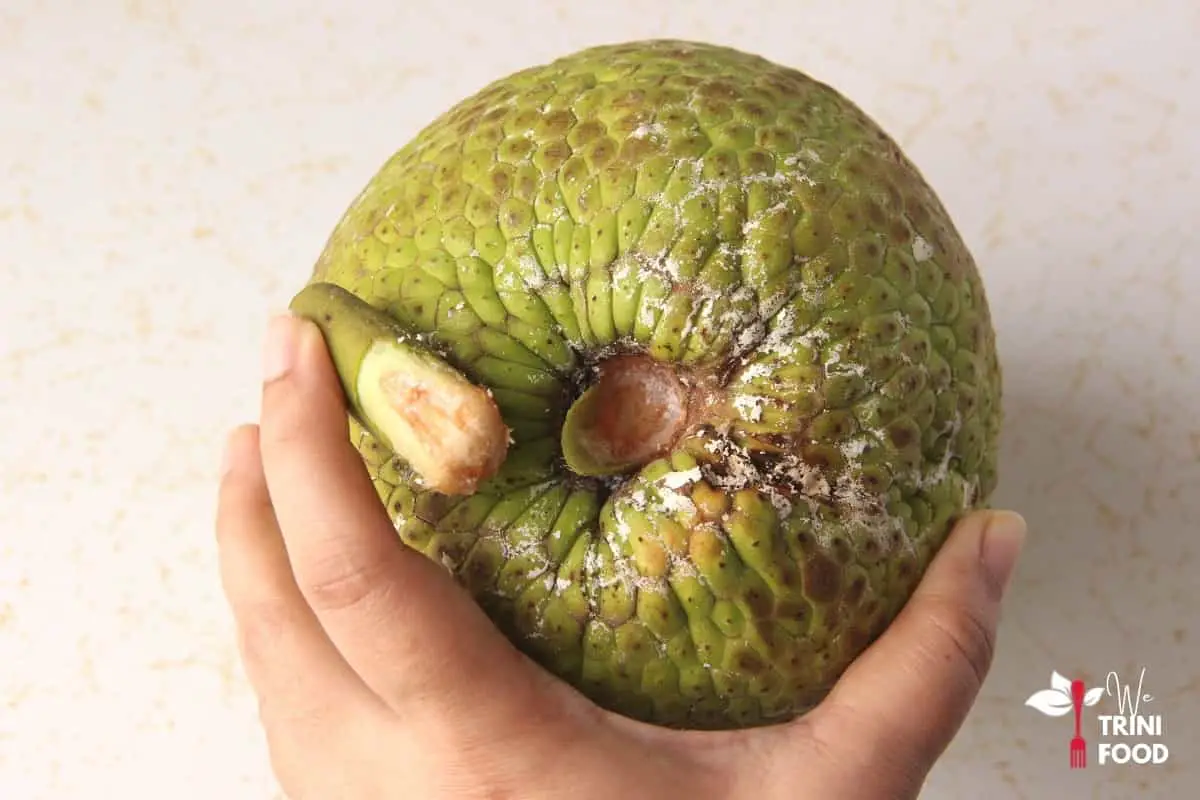 remove stem from breadfruit