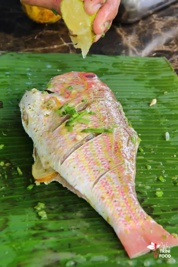 add fresh herbs and lemon juice to snapper