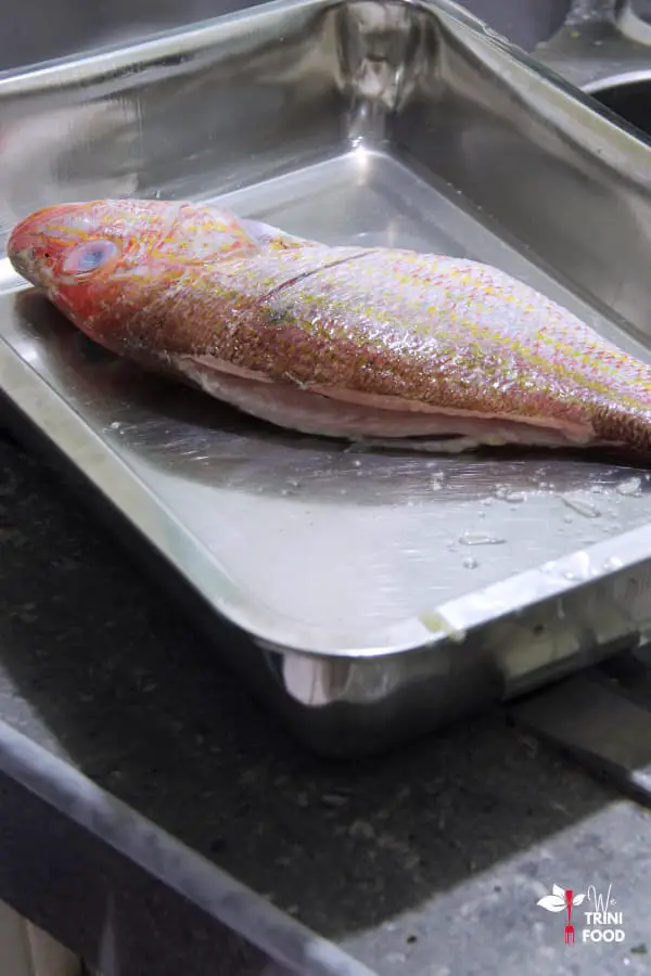 defrosted whole red snapper