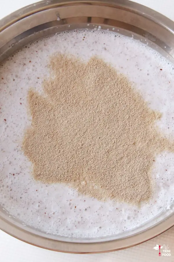 add yeast to blended coconut meat