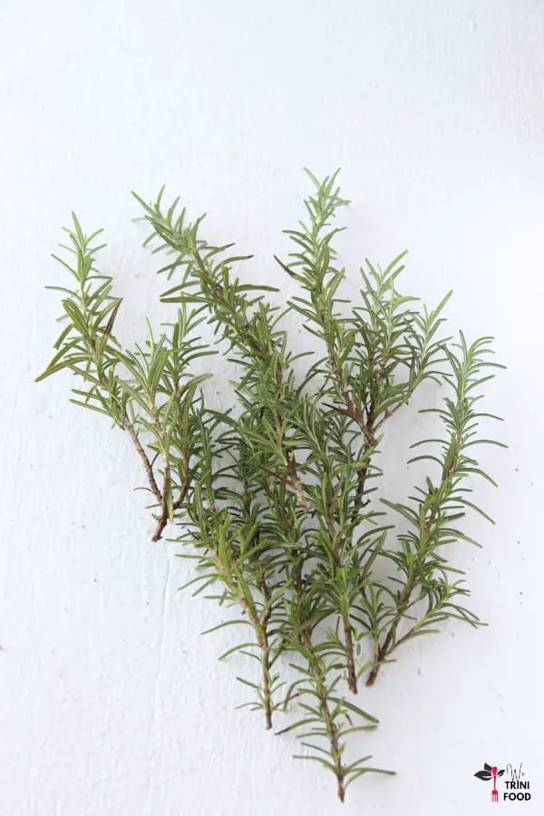 rosemary branches