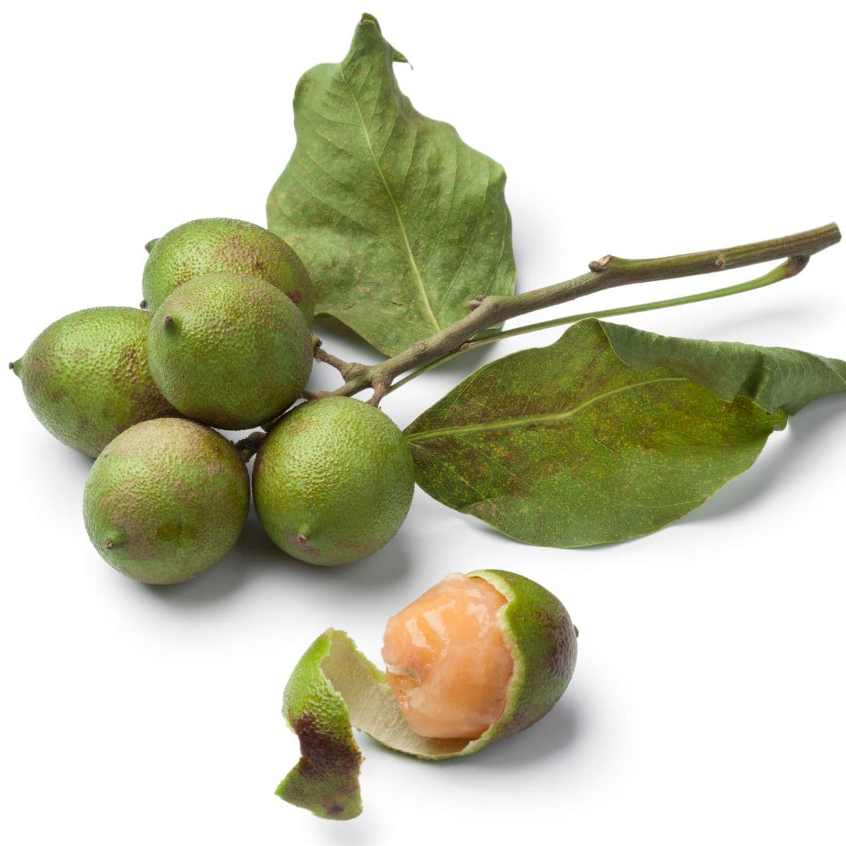 Guinep, Chenet or Spanish Lime: Benefits, Uses and More