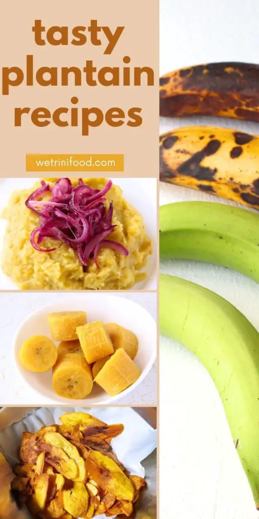 tasty plantain recipes text with photos of mangu, boiled plantain, fried plantain chips, and plantain fruit