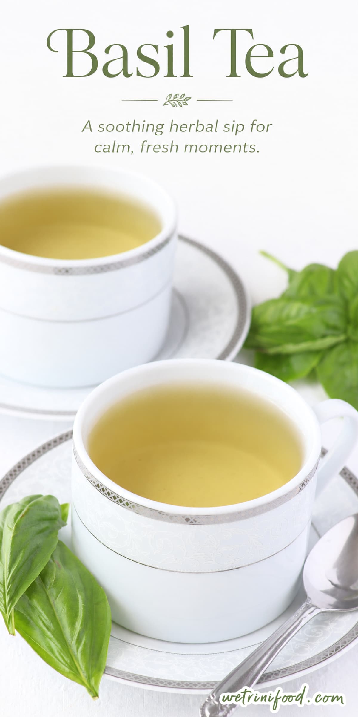 Basil Tea: A Soothing Herbal Sip for Calm, Fresh Moments